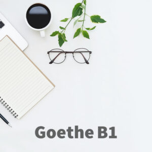 Goethe B1