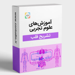 تشریح قلب