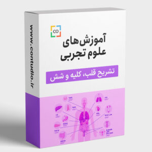 تشریح اعضای بدن