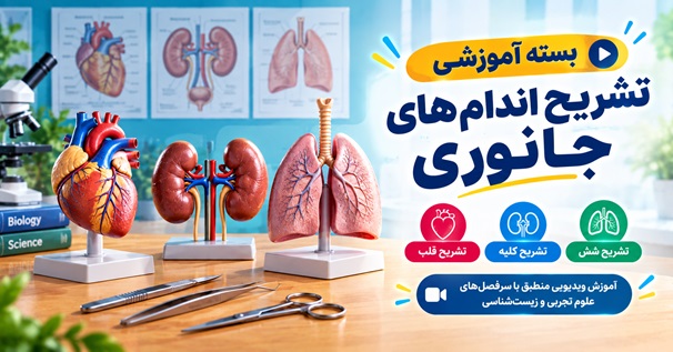 بسته آموزشی تشریح اندام‌های جانوری شامل آموزش تشریح قلب کلیه و شش