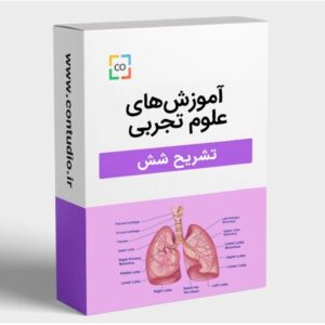 تشریح شش