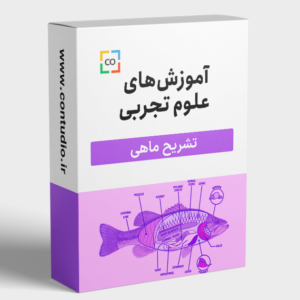 تشریح ماهی
